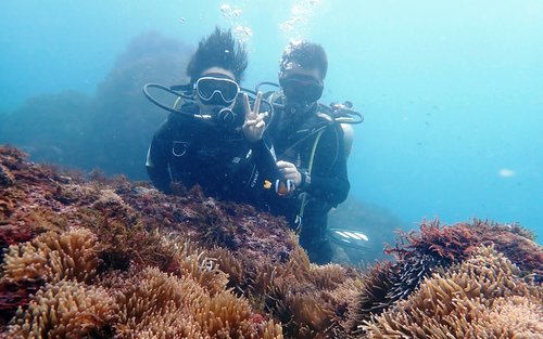 新北｜龍洞四季灣潛水體驗｜免潛水執照