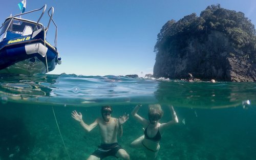 纽西兰教堂湾玻璃底船游船之旅