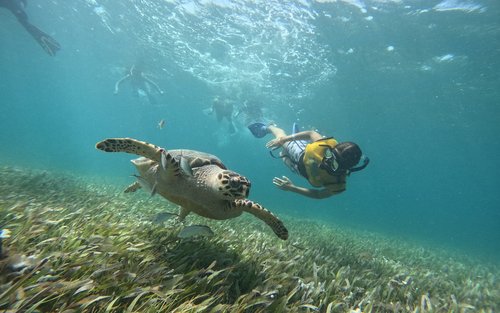 5-in-1 Snorkeling Tour with Turtles, Reefs, Musa, Shipwreck