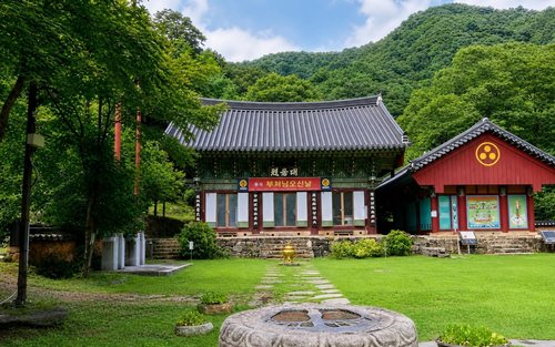 Boseong Templestay & Yeosu Night View 2-Day 1-Night Private Tour