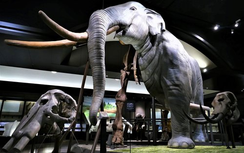 Kemasukan Muzium Tasik Biwa di Shiga