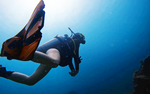 Afternoon Delight: Immersioni a Koh Tao con Centro Immersioni PADI 5 Stelle