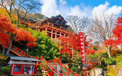 Kyushu Saga | Arita Porcelain Park & Takeo Onsen & Yūtoku Inari Shrine & Ōuo Shrine Day Trip (From Fukuoka)