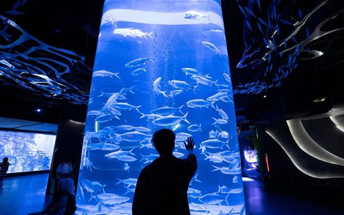 雅加達水族館野生動物園