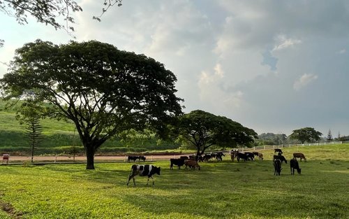 Farm Fresh Ticket At UPM, Seri Kembangan in Selangor