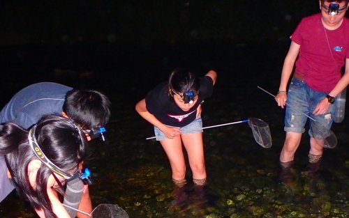 Hualien: Night Shrimp Catching Experience with Dinner