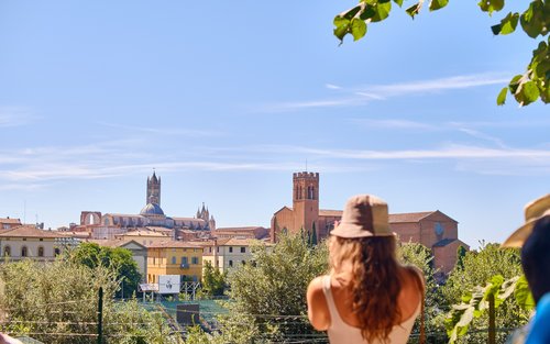 Siena, San Gimignano, Monteriggioni, and Chianti Wine Tasting Tour