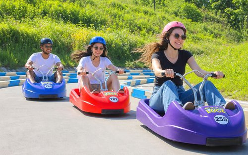 Incheon Dagtour: Luge, Railbike & Veerboot met Meeuwen Voeren