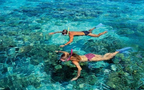 渡轮船票：凯恩斯 - 绿岛