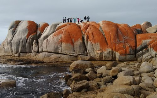 7D6N Grand Tasmania Small Group Guided Tour mula Hobart