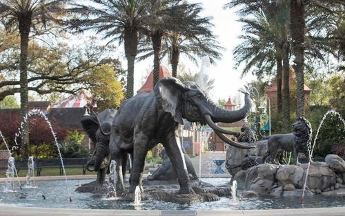 Audubon Zoo Ticket 