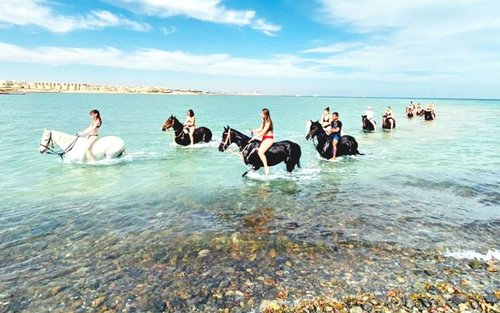 Karanasan sa Paglubog ng Araw sa Pagkakaroon ng Kabayo sa Disyerto ng Hurghada