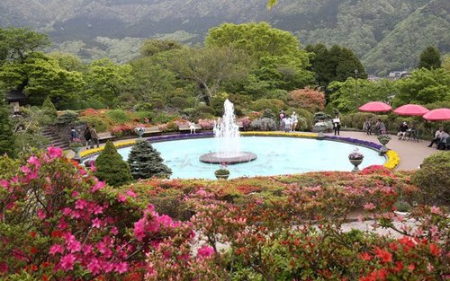 Công viên Hakone Gora