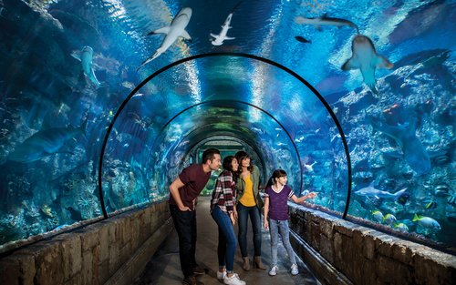 Вход за аквариума Shark Reef в Лас Вегас
