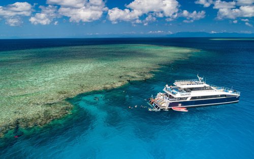 道格拉斯港、凯恩斯或北部海滩出发阿金考特礁浮潜体验