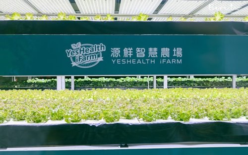 Tour guidato di un'intera giornata alla fattoria Taipei Yuanxian e alla vecchia via Daxi