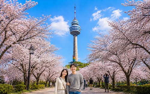 Daegu Day Tour: Palgongsan Cable Car · E-World & 83 Tower Night View