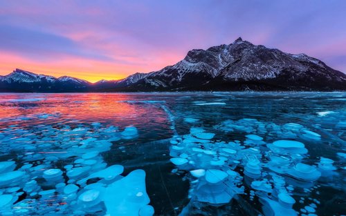 1 Day Abraham IceBubble, Peyto, Bow Lake with Snowshoeing& Icewalk 