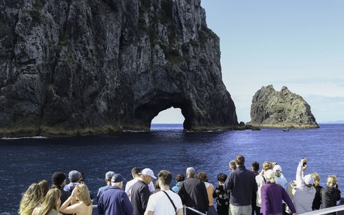 Hole in the Rock Dolphin Cruise