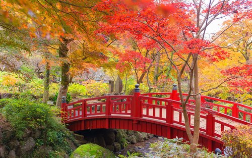 [Maple Viewing Limited] Izu Atami Plum Garden & Shuzenji Onsen Maple Viewing Holy Land Day Trip | Stroll through Michelin Two-Star Ancient Town, Rainbow Village/Natural Park with Maple Leaves All Over the Mountains (Choose One) | Departure from Tokyo