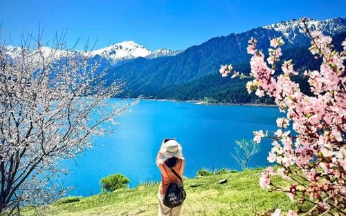 Urumqi Tianshan Tianchi Full-Day Nature Tour