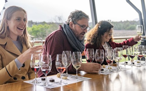 Award-Winning Hunter Valley Wine & Cheese Tour from Sydney