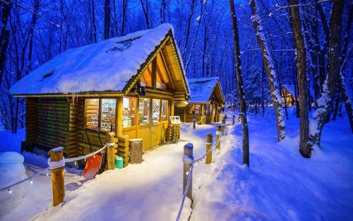四季彩の丘：旅行前に知っておきたいおすすめ情報
