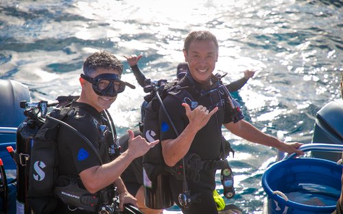 PADI Open Water Diver [eLearning]