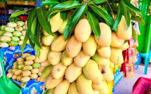 Iloilo City & Guimaras Full-Day Tour 