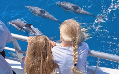 Auckland: Whales, Dolphins and Islands Cruise 