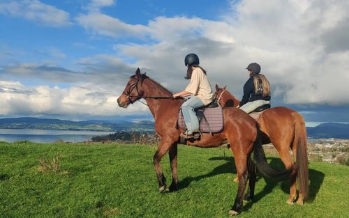 Scenic Horse Trek Overlooking Lake Rotorua
