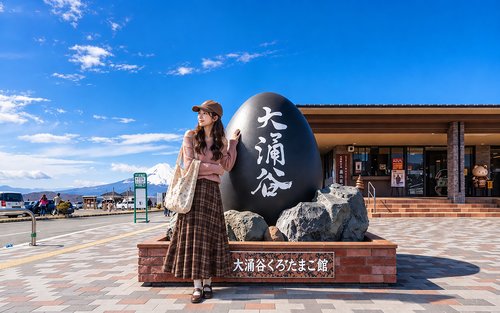 Excursió d'un dia al Mont Fuji i Hakone amb recollida a l'hotel