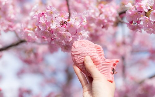 Kawazu Cherry Blossom Festival & Mt. Omuro Ropeway Day Trip