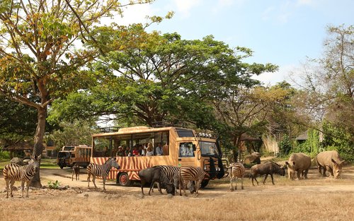 කොරියානු පවුල සඳහා හොඳම බාලි දින 1 සංචාරය