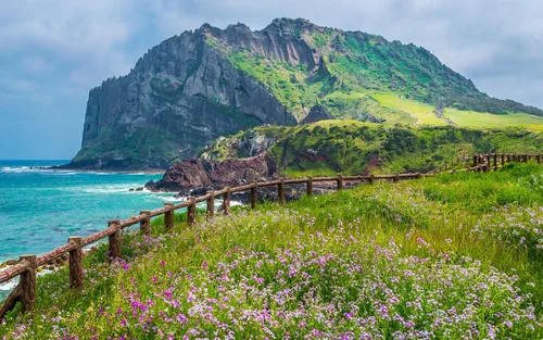 Jeju Seongsan Ilchulbong & Udo Island Full-Day Tour