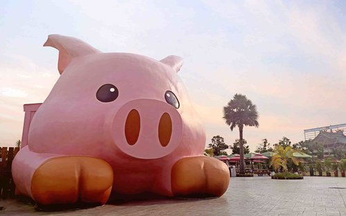 Three Pigs Farm Ticket in Chiayi 