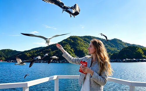 Kyoto Amanohashidate & Ine Funaya Full-Day Tour with Scenic Train