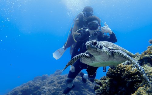 Taitung: Lanyu Blue Ocean House Diving Resort Experience Diving
