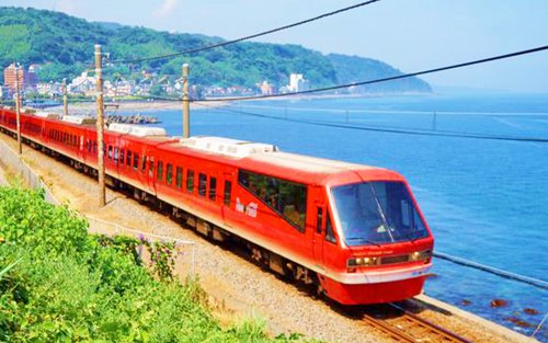 [Izu Ocean View Tour | Including Train Ticket] Izu Mount Omuro & Izu Cactus Park & Ocean View Train Resort 21 & Jogasaki Coast & Kadowaki Suspension Bridge & Ito Marine Town Day Trip (From Tokyo)