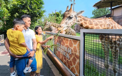 Jatim Park 2 (Batu Secret Zoo & Museum Satwa)
