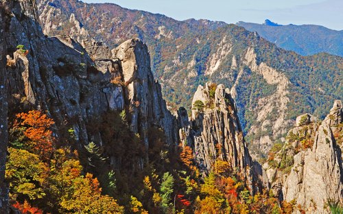 Tour Ngắm Lá Phong Mùa Thu Công Viên Quốc Gia Naejang & Seorak