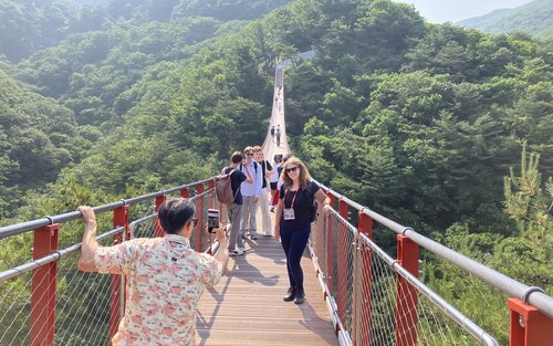 DMZ非軍事區之旅:首爾出發,探訪紅色吊橋與觀景臺