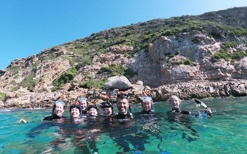 Swimming with Seals or Seal Viewing Tour in Robberg 