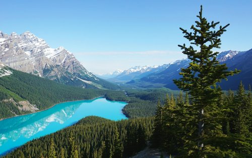 Tour cả ngày Hồ Louise, Moraine & Peyto Lakes