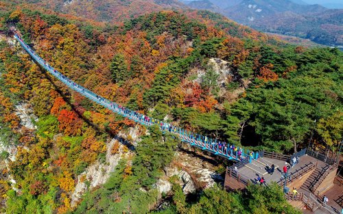 Pyeongchang Samyang Roundhill & Sogeumsan Suspension Bridge Tour