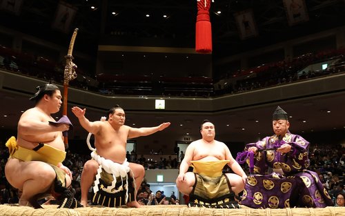 Tokyo Sumo Wrestling Tournament Tour