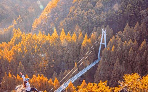 Jangtaesan Autumn Foliage One Day Tour from Seoul