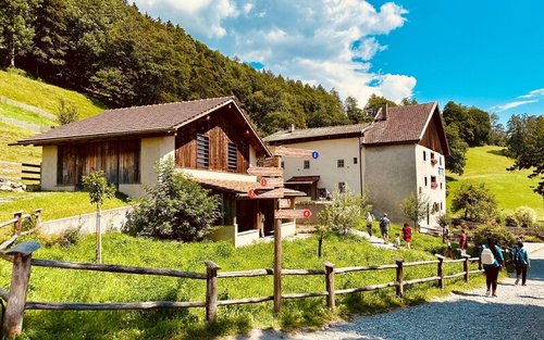 Tour privato di un giorno sul sentiero di Heidi a Zurigo