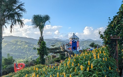 ＜SNS映え＞セブ市内観光＋シラオガーデン半日ツアー（日本語ガイド/往復送迎/保険付）