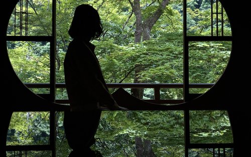 Tour privato di mezza giornata alla foresta di bambù di Arashiyama a Kyoto